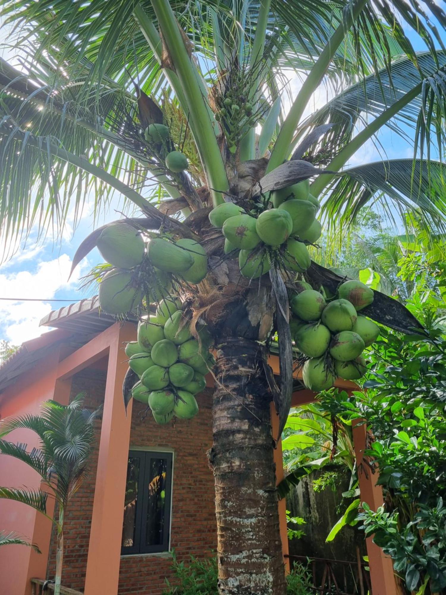 Anan Boutique Bungalows With Private Kitchen Phu Quoc Eksteriør bilde