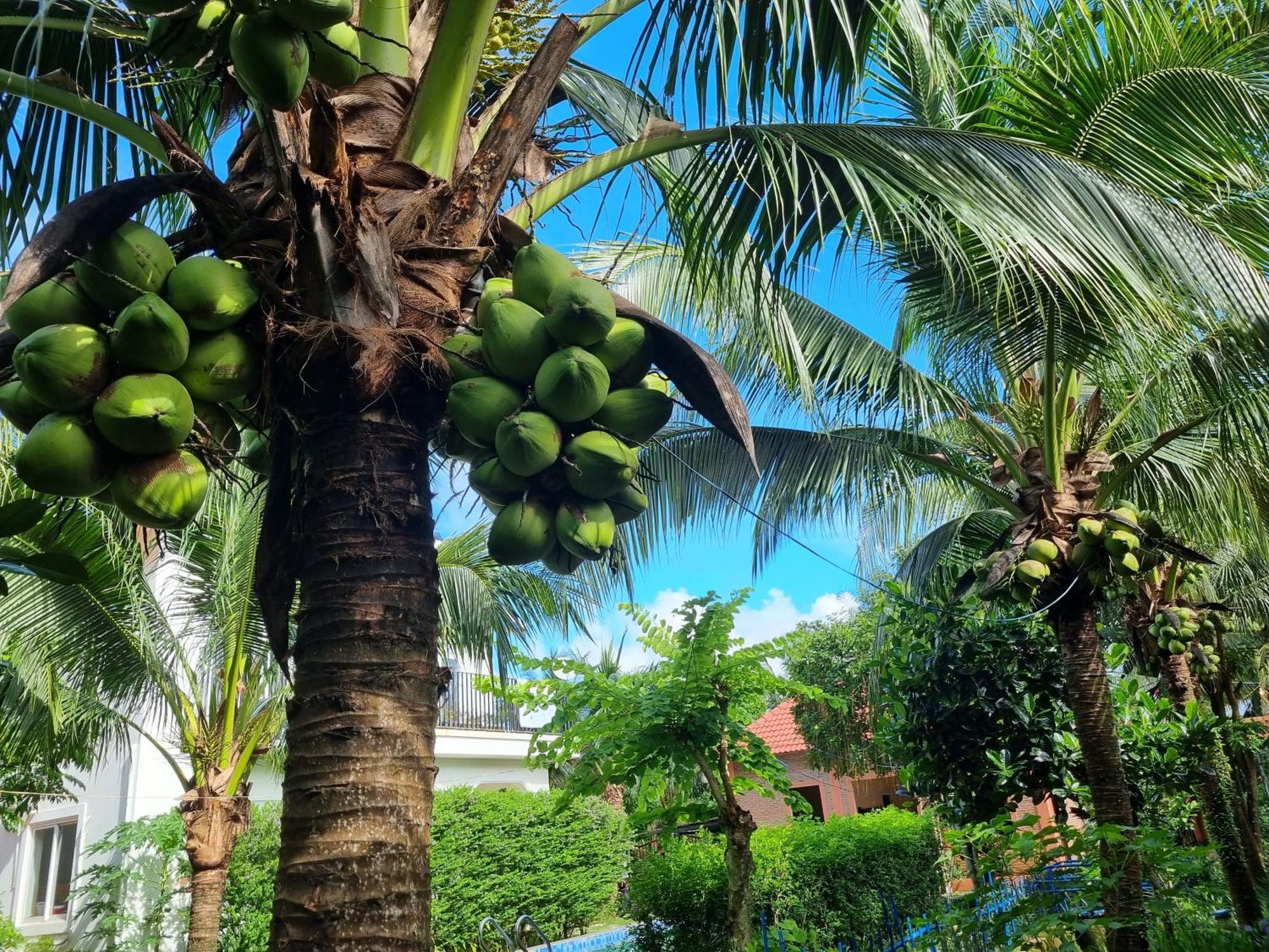 Anan Boutique Bungalows With Private Kitchen Phu Quoc Eksteriør bilde